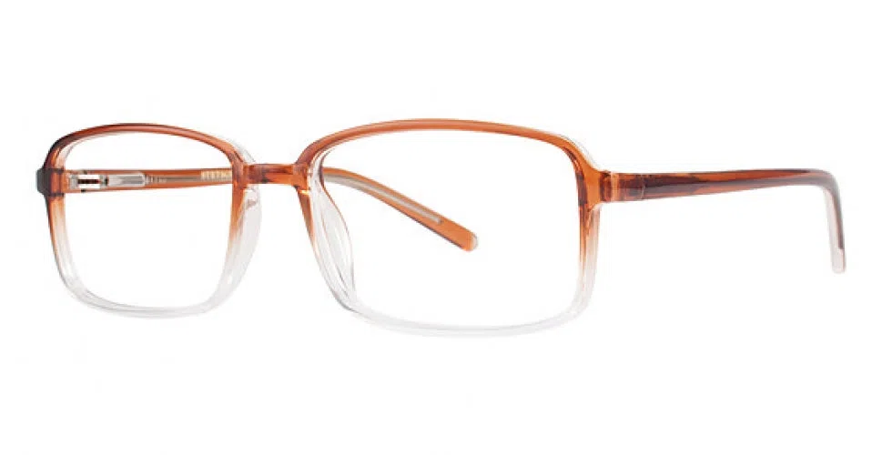 Stetson S328 Eyeglasses - Demi Black - view 6